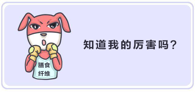 纤维时代，未来已来