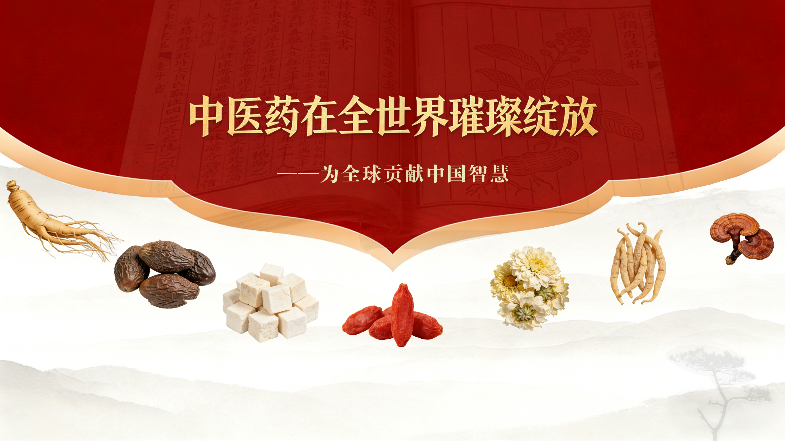 中医药在全世界璀璨绽放